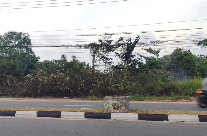 
					Pembakaran Sampah Picu Kebakaran Lahan di Depan Kantor Bawaslu Kepri