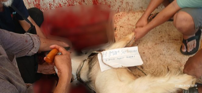 
					KETUA DPRD KEPRI SALURKAN BANTUAN HEWAN QURBAN KE MASJID NURUL QOMAR BENGKONG