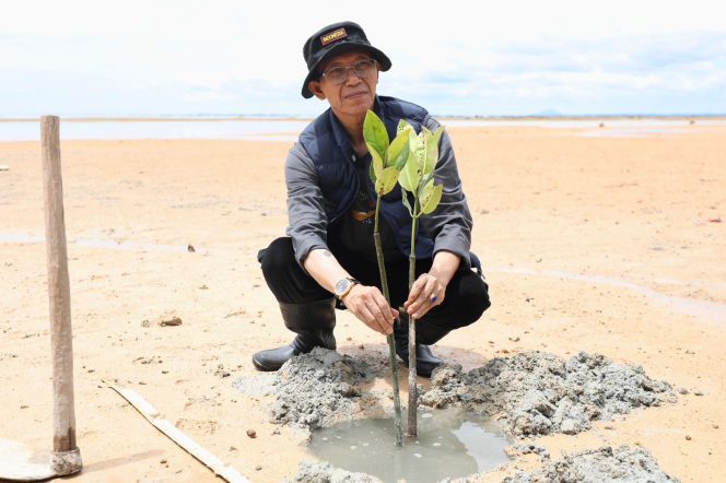 
					Wali Kota Batam, Amsakar Achmad, mengikuti aksi penanaman mangrove bersama mahasiswa UNRIKA di kawasan pesisir Tanjung Bemban, Nongsa, Sabtu (9/5/2026). 