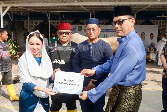 
					Plh Wali Kota Batam, Li Claudia Chandra, menyerahkan hewan kurban dari Presiden Prabowo Subianto ke Masjid Agung Raja Hamidah Batamcentre, Rabu (27/5/2026). 