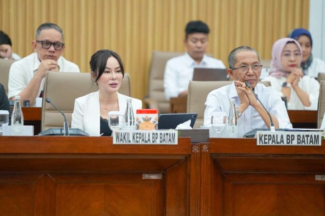 
					Realisasi PNBP Meningkat, Kinerja Keuangan BP Batam Makin Optimal