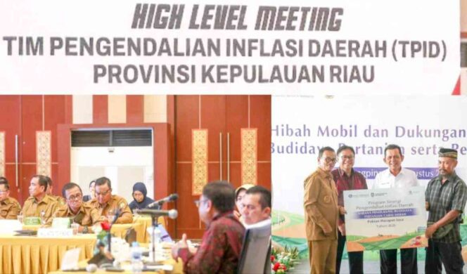 
					Wawako Raja Ariza Hadiri High Level Meeting TPID Kepri, Dorong Penguatan Sinergi Pengendalian Inflasi