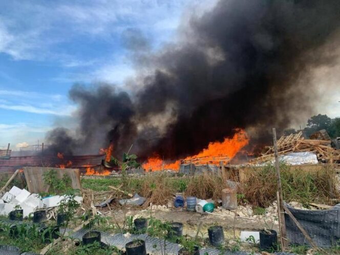 
					Kebakaran lahan di Kota Batam, beberapa waktu yang lalu akibat cuaca panas. Cuaca Panas 33°C dan El Nino, BMKG Batam Keluarkan Peringatan Karhutla serta Larangan Bakar Lahan.