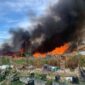 Kebakaran lahan di Kota Batam, beberapa waktu yang lalu akibat cuaca panas. Cuaca Panas 33°C dan El Nino, BMKG Batam Keluarkan Peringatan Karhutla serta Larangan Bakar Lahan.