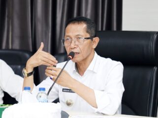 Wali Kota Batam, Amsakar Achmad