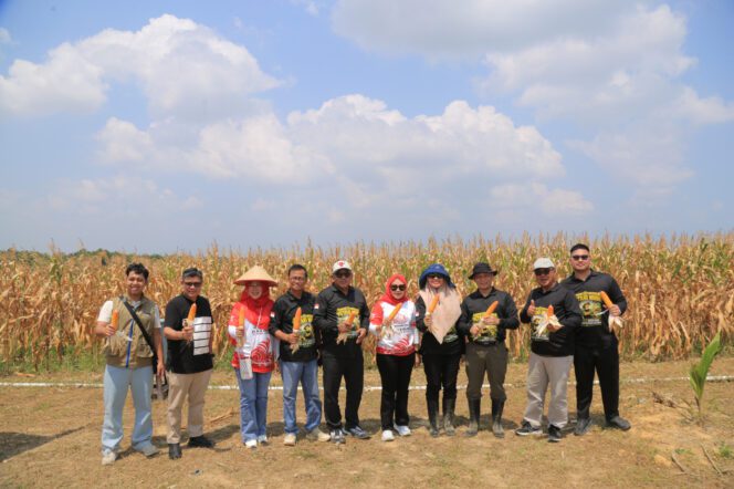 
					Panen Jagung di Senggarang, Wali Kota Lis Darmansyah Apresiasi Produktivitas Petani Gen Z